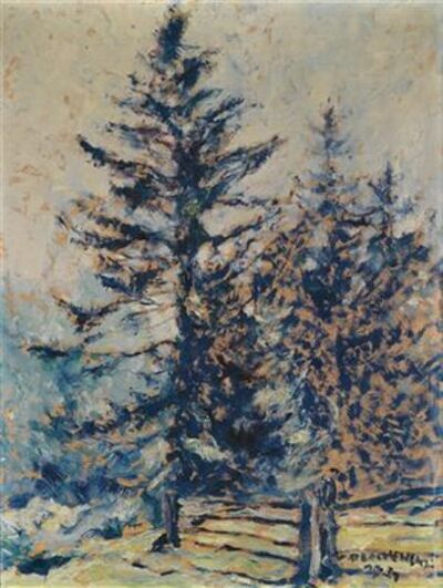 weathered-fir-trees