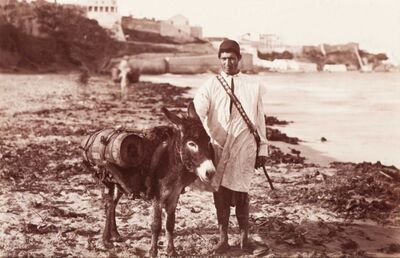 a-waterseller-of-tangier-marchand-d-eau-avec-son-ane
