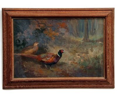 pheasant-in-landscape