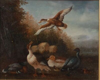 wildfowl-in-a-river-landscape