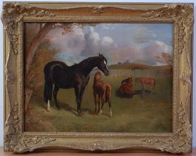 mare-with-foals