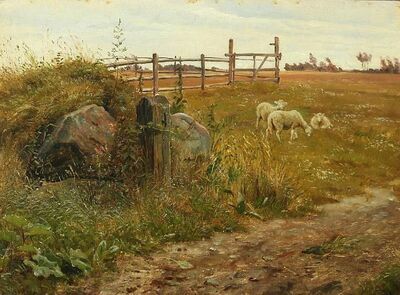 landscape-with-grazing-sheep