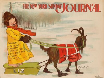 the-new-york-sunday-journal
