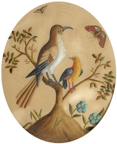 study-of-birds-on-a-branch-with-butterflies-caterpillars-and-flowers