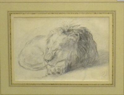 sleeping-lion