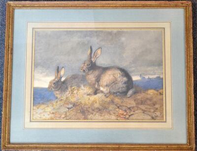 study-of-rabbits-in-a-landscape