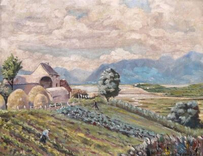 cabbage-fields-ireland