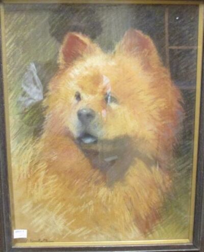 head-of-a-chow