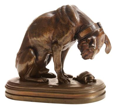 chien-a-la-tortue-hound-and-tortoise