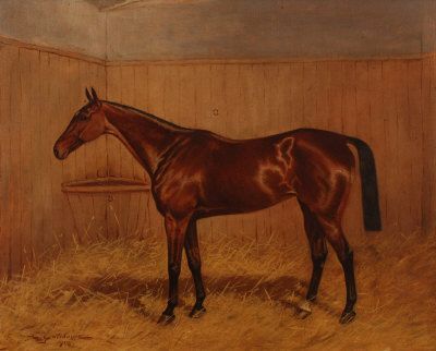 chestnut-hunter-in-a-loose-box
