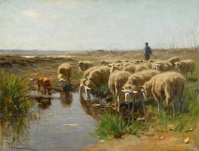 sheep-watering