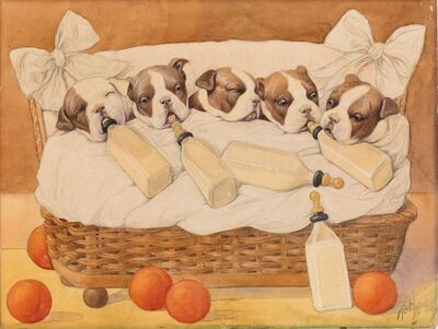 puppies-in-a-basket