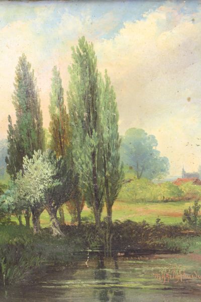 bomen-aan-een-vijver