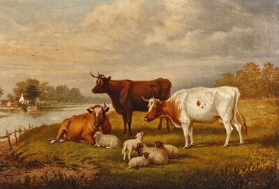 landschaft