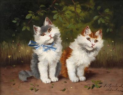 katzen-im-garten