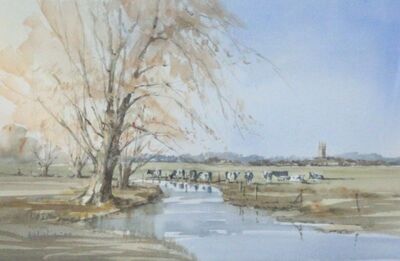 autumn-willows-meadow-near-cricklade
