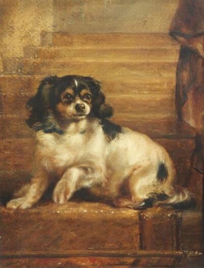 portrait-of-a-king-charles-spaniel