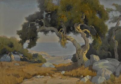 montecito-oak