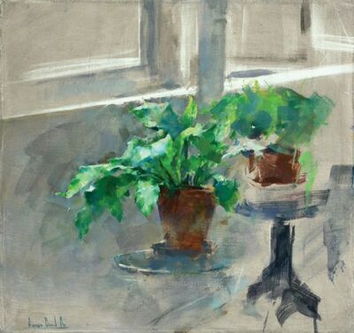 flower-pot-on-the-table