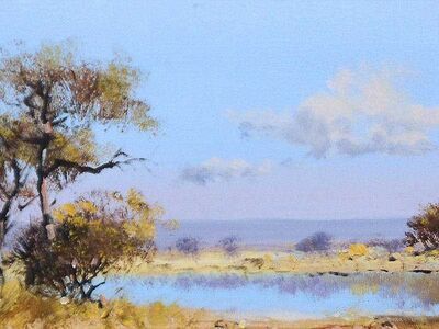bushveld-landscapes