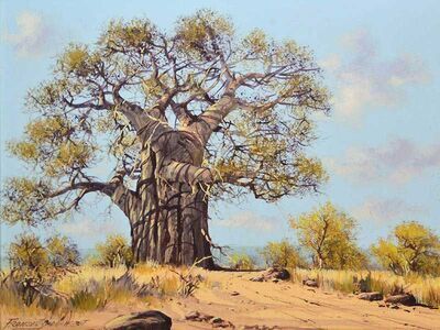 baobab-landscape