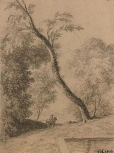 cavalier-dans-un-paysage-boise