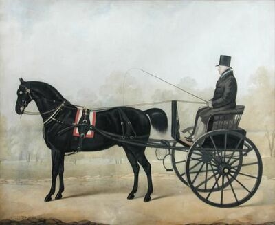 a-gentleman-driving-a-pony-trap