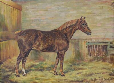 study-of-a-horse-bob