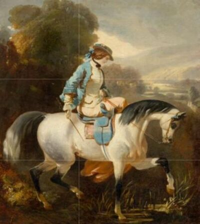 elegant-rider