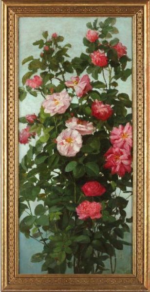 pink-roses