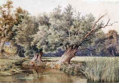river-scene-with-trees
