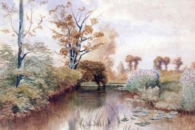 extensive-broadland-view