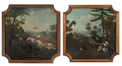 grues-cendrees-poules-sultanes-et-autres-oiseaux-dans-un-paysage-tropical
