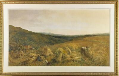 harvesting-scene