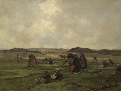 nettenboetsers-aan-het-strand