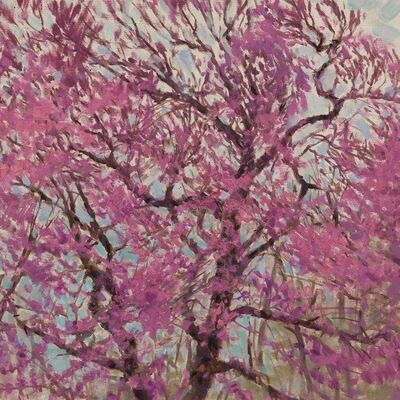 flowering-tree