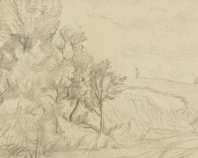 paysage-pres-de-coinsins