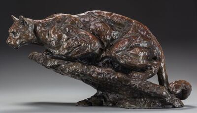 crouching-cougar
