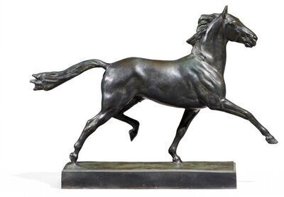 trotting-stallion