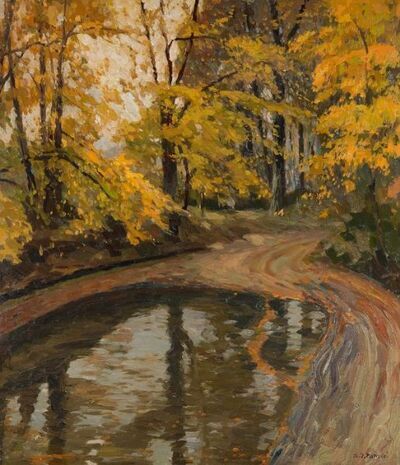 puddle-in-the-forest