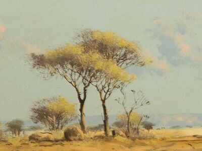 bushveld-landscape