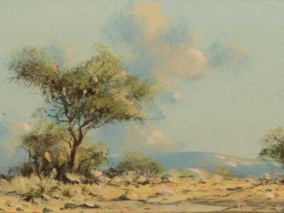 bushveld-landscape
