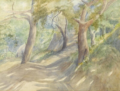 trees-along-a-path