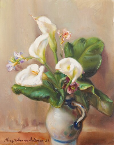 araceae