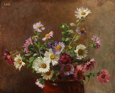 asters