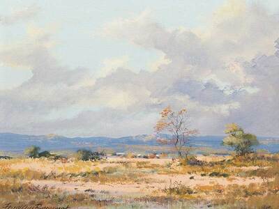 rural-landscapes