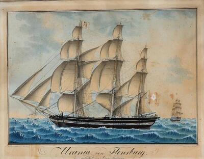 the-bark-urania-of-flensburg