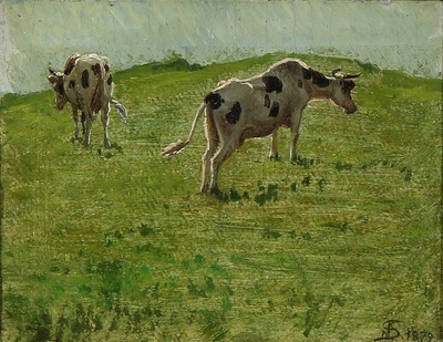 two-cows-on-a-field