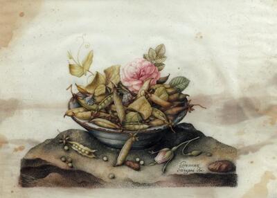 roses-and-peas-pods-in-a-bowl