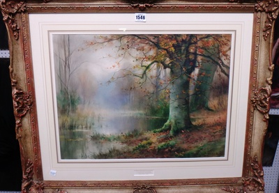 the-woodland-glade